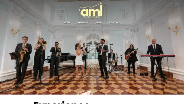 A screenshot of the home page for Adelaide Musicians Live that Sanico Software created.