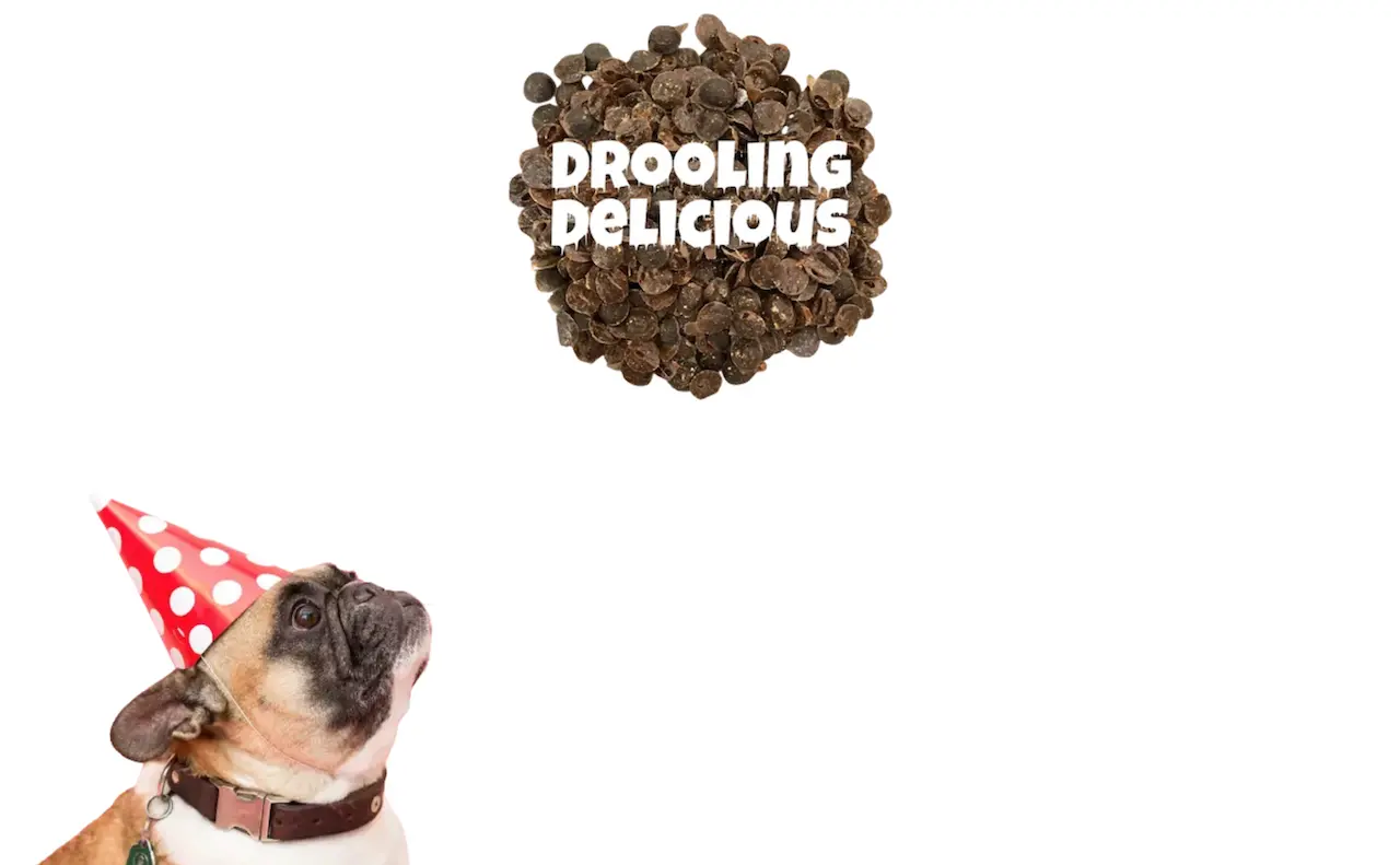 A custom graphic of a dog looking at pet food with a strong desire that we designed and created for the Pup Hub Cafe website.